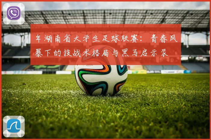 年湖南省大学生足球联赛：青春风暴下的技战术格局与黑马启示录