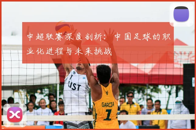 中超联赛深度剖析：中国足球的职业化进程与未来挑战